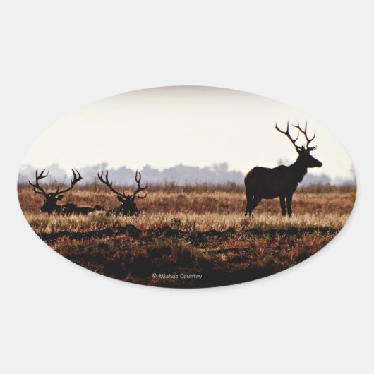 Bull Elk Silhouette Ovale Sticker (Voorkant)
