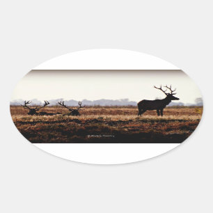 Bull Elk Silhouette Ovale Sticker
