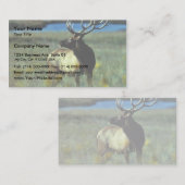 Bull elk visitekaartje (Voorkant / Achterkant)