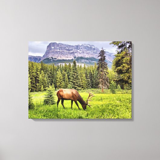 Bull Elk Wrapped Canvas Afdruk (Voorkant)