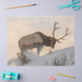 Bull Elk zoekt voedsel onder de sneeuw Tissuepapier (Craft)