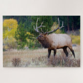 Bull en Aspen Trees | Nationaal park Rocky Mountai Legpuzzel (Horizontaal)