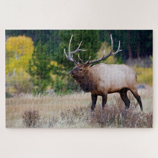 Bull en Aspen Trees | Nationaal park Rocky Mountai Legpuzzel (Horizontaal)
