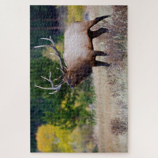Bull en Aspen Trees | Nationaal park Rocky Mountai Legpuzzel (Verticaal)