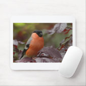 Bull Finch Muismat (Met muis)