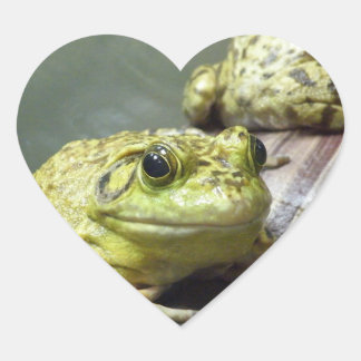 Bull Frog Hart Sticker