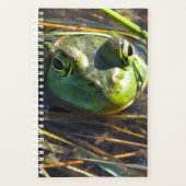 Bull Frog Planner (Voorkant)