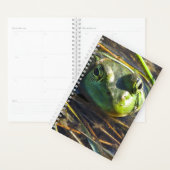 Bull Frog Planner (Display)