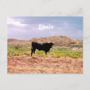 Bull in Spanje Briefkaart