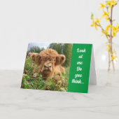 BULL IS SERIEUS EN ZEGT "GELUKKIGE 70E VERJAARDAG" KAART (Gele Bloem)