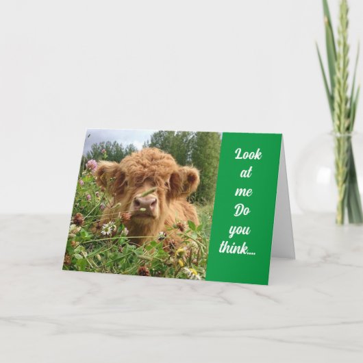 BULL IS SERIEUS EN ZEGT "GELUKKIGE 70E VERJAARDAG" KAART (Voorkant)