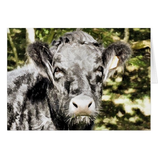 BULL-KAART (Voorkant Horizontaal)