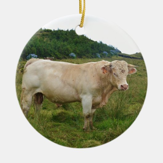 Bull Keramisch Ornament (Voorkant)