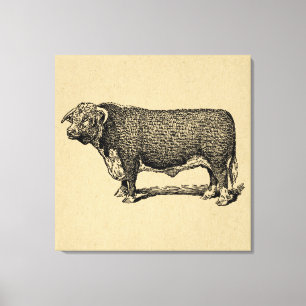 Bull Land & Boerderij Geëmigende Kunst Canvas Afdruk