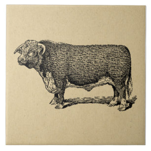  Bull Land & Boerderij Geëmigende Kunst Tegeltje