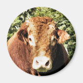 BULL MAGNEET (Voorkant)