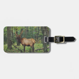 Bull Male Elk in herfstveld Bagagelabel