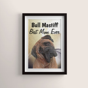 Bull Mastiff Best Mom  Poster