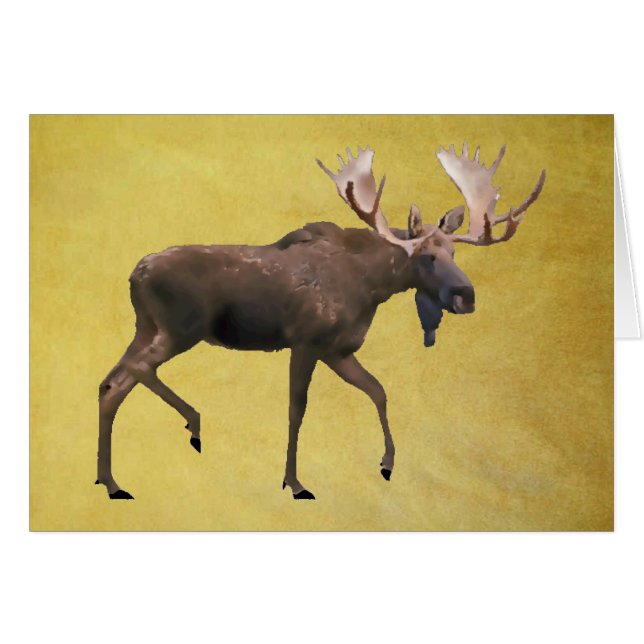 Bull Moose (Devant horizontal)