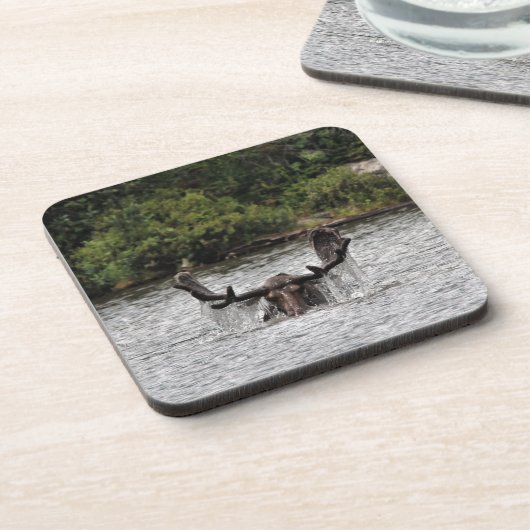 Bull Moose Bier Onderzetter (Linkerzijde)