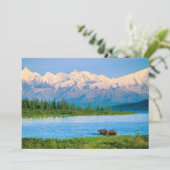 Bull moose in Wonder Lake Bedankkaart (Staand voorkant)
