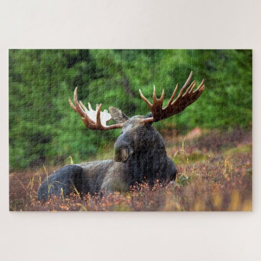 Bull Moose Jigzaag Puzzle Legpuzzel (Horizontaal)