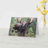 Bull Moose Kaart (Gele Bloem)