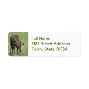 Bull Moose Mailing Label