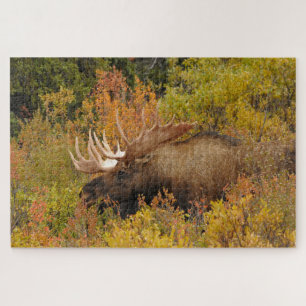 Bull Moose   Nationaal park Denali, Alaska Legpuzzel