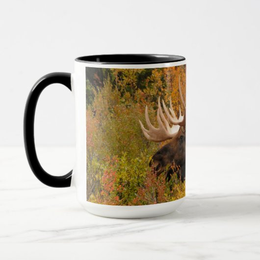 Bull Moose | Nationaal park Denali, Alaska Mok (Links)