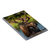 Bull Moose | Nationaal park Glacier Montana Notitieboek (Rechterzijde)