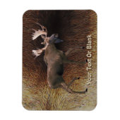 Bull Moose On Cariou Fur Magneet (Verticaal)