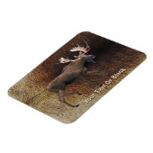 Bull Moose On Cariou Fur Magneet (Linkerzijde)