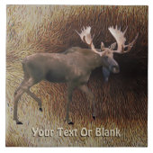 Bull Moose On Cariou Fur Tegeltje (Voorkant)