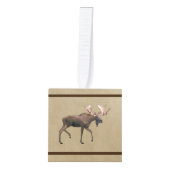 Bull Moose op oud papier Kubus Ornament (Voorkant)