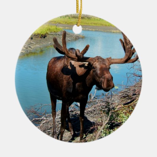 Bull Moose Ornament (Voorkant)