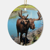 Bull Moose Ornament (Links)