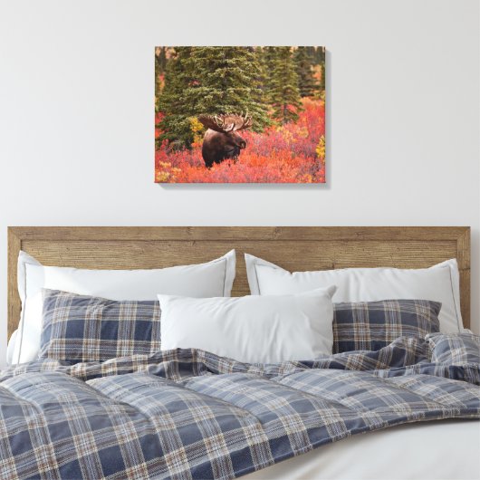 Bull Moose Permanent in Red Dwarf Birch Canvas Afdruk (Insitu (Slaapkamer))