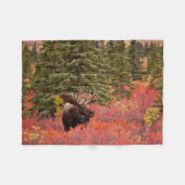 Bull Moose Permanent in Red Dwarf Birch Fleece Deken (Voorkant (Horizontaal))