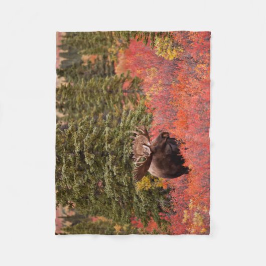 Bull Moose Permanent in Red Dwarf Birch Fleece Deken (Voorkant)