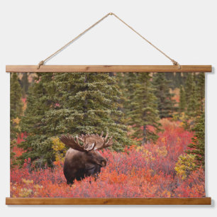 Bull Moose Permanent in Red Dwarf Birch Hangend Wandkleed