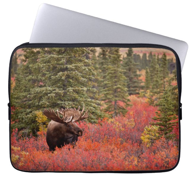 Bull Moose Permanent in Red Dwarf Birch Laptop Sleeve (Voorkant)