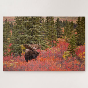 Bull Moose Permanent in Red Dwarf Birch Legpuzzel