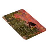 Bull Moose Permanent in Red Dwarf Birch Magneet (Rechterzijde)