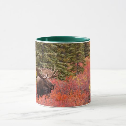 Bull Moose Permanent in Red Dwarf Birch Mok (Midden)