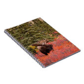 Bull Moose Permanent in Red Dwarf Birch Notitieboek (Rechterzijde)