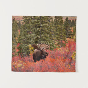 Bull Moose Permanent in Red Dwarf Birch Wandkleed
