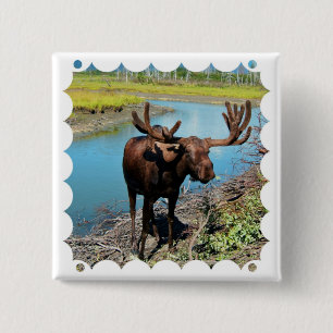 Bull Moose Square Pin Vierkante Button 5,1 Cm