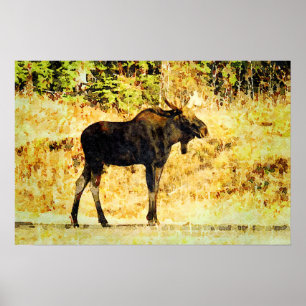 Bull Moose Standing Waterverf Painting Wildlife Poster