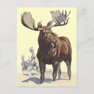 Bull Moose ~ Sunny Winter Day TRAVEL BRIEFKAART